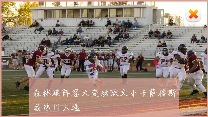 森林狼阵容大变动欧文小卡萨格斯成热门人选